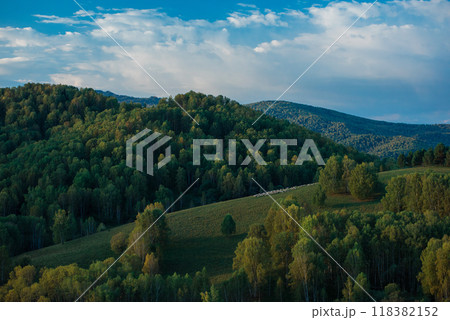 A herd of sheep in the Altai mountains. 118382152