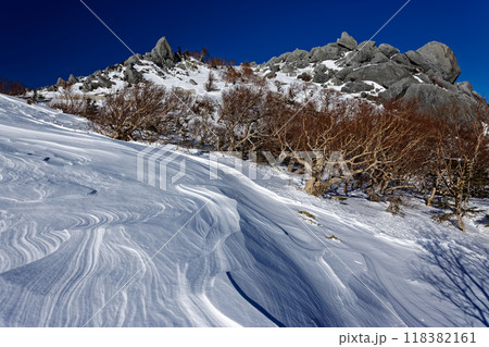 厳冬の南アルプス・鳳凰山・薬師岳 118382161