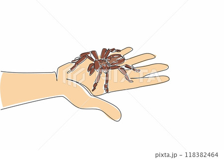 Single continuous line drawing big spider on palm. Tarantula on palm of a brave man's hand. Pet tarantulas.Animal. Wildlife. Arthropod. National Save a Spider Day. One line design vector illustration 118382464