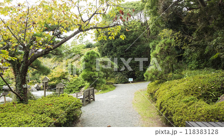 葉山しおさい博物館の秋 葉山しおさい博物館の秋 118383128