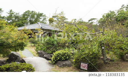 葉山しおさい博物館の秋 118383135