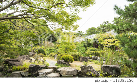 葉山しおさい博物館の秋 118383150