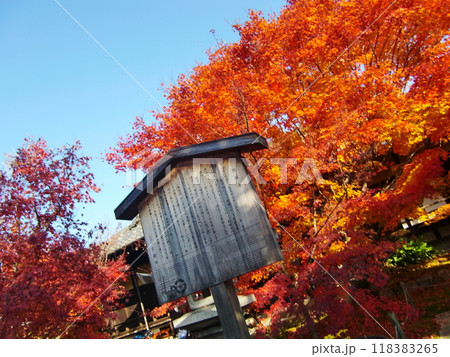 勝林寺 勝林寺 118383265