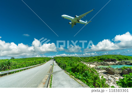 飛行機と海で出かけるリゾート旅 118383301