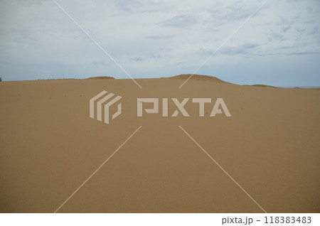 鳥取砂丘(鳥取県鳥取市) 鳥取砂丘(鳥取県鳥取市) 118383483