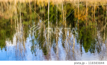 Bright colored trees and plants reflecting in the water. Autumn forest and beautiful lake. Natural background 118383844