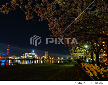 新潟県新潟市 信濃川と萬代橋周辺の河川敷の風景より 118383875