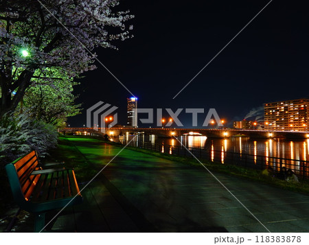 新潟県新潟市 信濃川と萬代橋周辺の河川敷の風景より 118383878