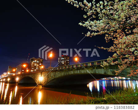 新潟県新潟市 信濃川と萬代橋周辺の河川敷の風景より 118383882
