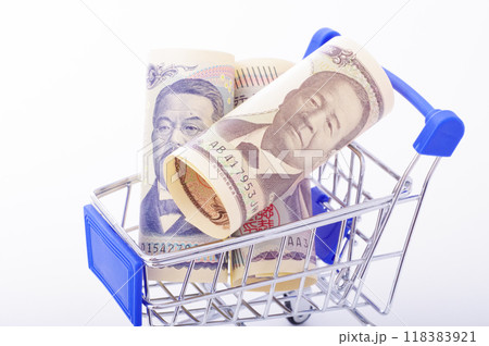 買い物カートと現金の消費イメージ 118383921