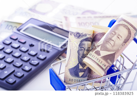 買い物カートと現金の消費イメージ 118383925