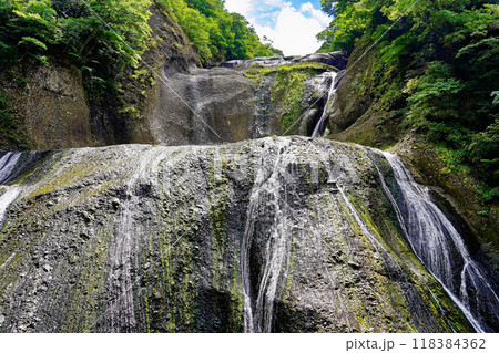 茨城県　夏（8月）の袋田の滝 118384362