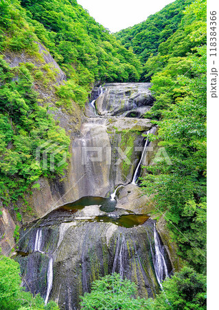 茨城県　夏（8月）の袋田の滝 118384366