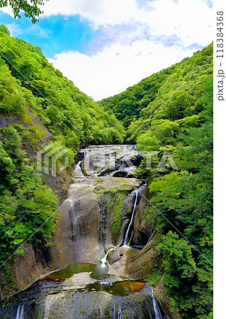 茨城県 夏(8月)の袋田の滝 茨城県 夏(8月)の袋田の滝 118384368