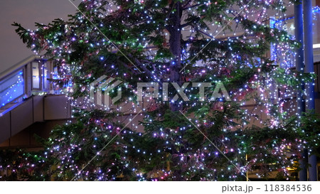 JR長岡京のクリスマスツリーライトアップ JR長岡京のクリスマスツリーライトアップ 118384536