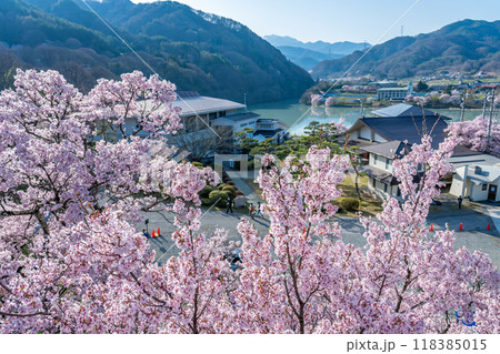 長野県伊那市　天下第一の桜と言われる高遠城址公園の高遠町歴史博物館と高遠湖の眺め 118385015