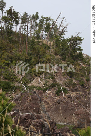 御崎岬 御崎岬 118385096