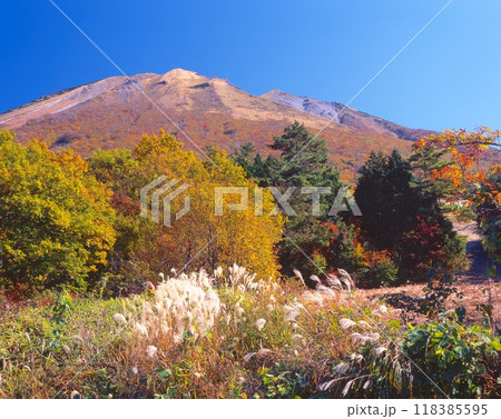 伯耆大山とその裾野に広がる紅葉やススキ(桝水高原より撮影)「日本百景」「日本百名山」 伯耆大山とその裾野に広がる紅葉やススキ(桝水高原より撮影)「日本百景」「日本百名山」 118385595