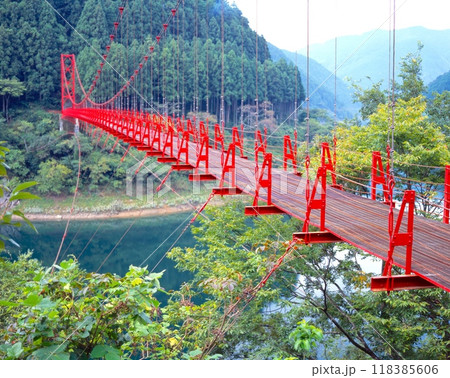 森林浴を満喫できる蔵王橋（有田川の二川ダムにかかる真っ赤な吊り橋）/和歌山県 118385606