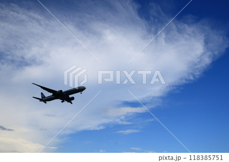 着陸進入する旅客機　青空に着陸してくる旅客機 118385751