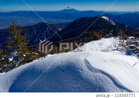 南アルプス・砂払岳から見る辻山と富士山 118385771