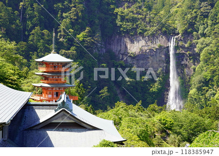 和歌山　青岸渡寺三重塔と那智大瀧 118385947