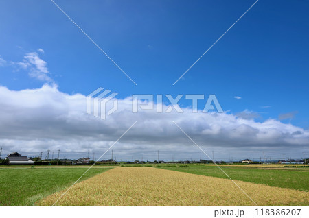 雲と青空の境界線 118386207