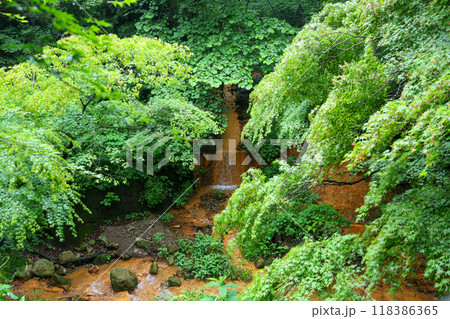 群馬県　渋川市　伊香保温泉　湯沢川 118386365