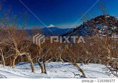 南アルプス・鳳凰山・薬師岳稜線から見る砂払岳と富士山 118386377