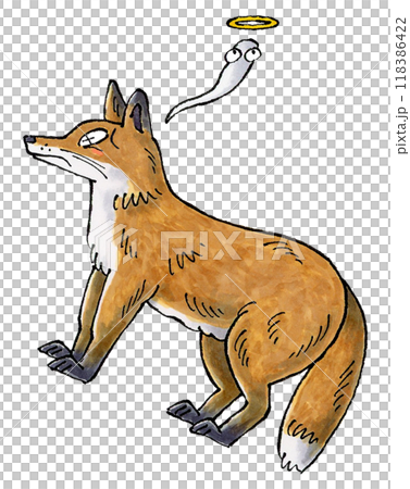 Dead fox Dead fox 118386422