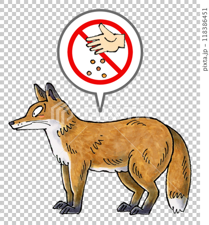 No feeding foxes sign No feeding foxes sign 118386451