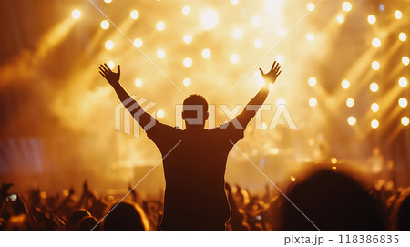 ライブ会場で手を挙げる観客のシルエット 118386835