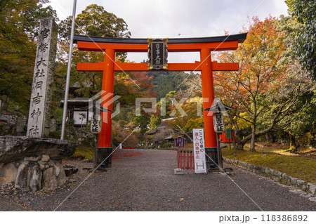 日吉大社　鳥居 118386892