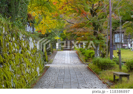 京阪坂本比叡山口駅から日吉大社まで歩く。石垣と紅葉の美しい参道 118386897