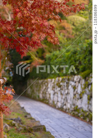 京阪坂本比叡山口駅から日吉大社まで歩く。石垣と紅葉の美しい参道 118386899