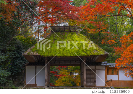 秋の京都 紅葉に包まれた法然院 山門 秋の京都 紅葉に包まれた法然院 山門 118386909