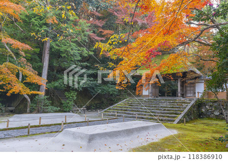 秋の京都 紅葉に包まれた法然院 山門 秋の京都 紅葉に包まれた法然院 山門 118386910