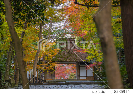 秋の京都　紅葉に包まれた法然院　山門 118386914