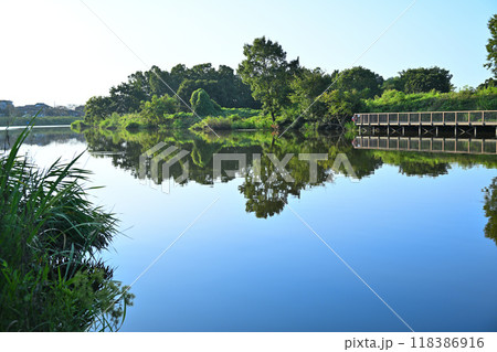 びん沼川　河川デッキ　真夏の風景　 118386916