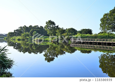 びん沼川　水鏡　河川デッキ　真夏の風景　 118386939