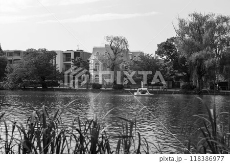 都内自然公園の石神井公園の水辺の風景 都内自然公園の石神井公園の水辺の風景 118386977