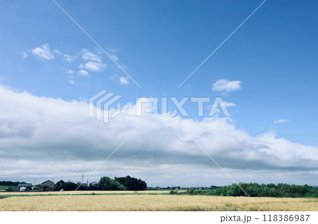 雲と青空の境界線 雲と青空の境界線 118386987