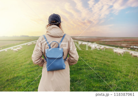 Woman walking many grazing sheep herd scene dike green field pasture meadow grassland North Wadden Sea coast East Friesland Germany warm dramatic sunset sky. Scenic german countryside landscape view 118387061