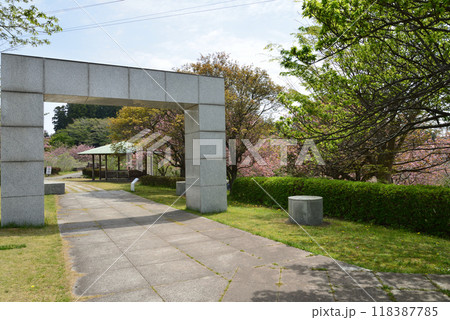 常陸風土記の丘　2024-4-21　＃31 118387785