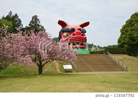 常陸風土記の丘　2024-4-21　＃38 118387792