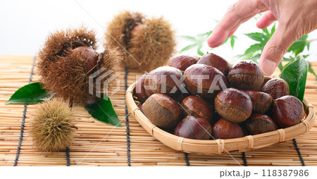 秋の味覚 栗 秋の味覚 栗 118387986