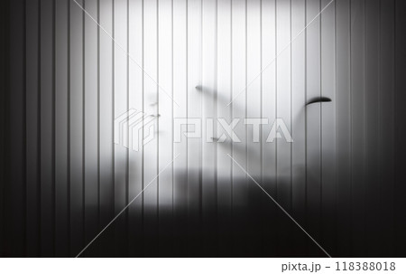 Vertical white blinds 118388018