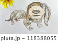 見上げるかわいい犬 118388055