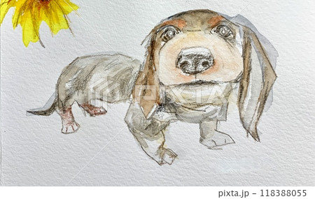 見上げるかわいい犬 118388055
