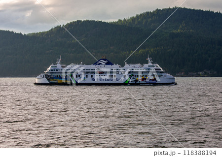 アラスカ 118388194